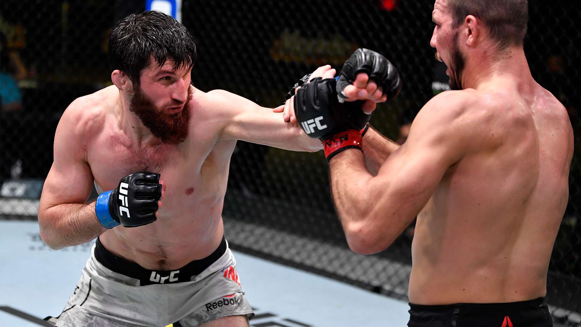 坚持社会价 坚持社会价